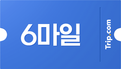 $1당 6마일 Trip.com