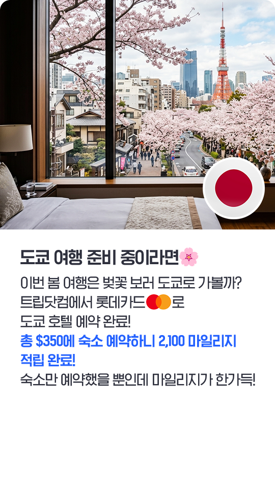 도쿄 여행 카드뉴스